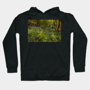 St Illtyd's Way through Coedalltacham, Pontardawe, Wales Hoodie